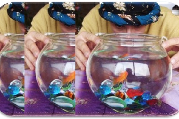 Y aura-t-il un rachat de grand fabricant de cuisines en 2025 ?